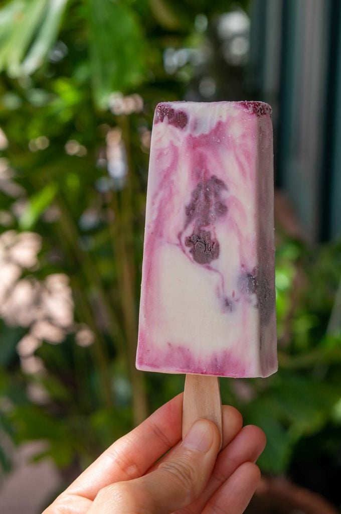 Paletas Morelia - Berries and Cream - The Doral Yard