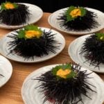 ogawa_miami_5