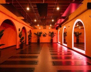 00 featured wild thing